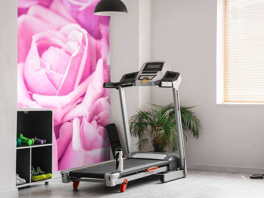 Rosas