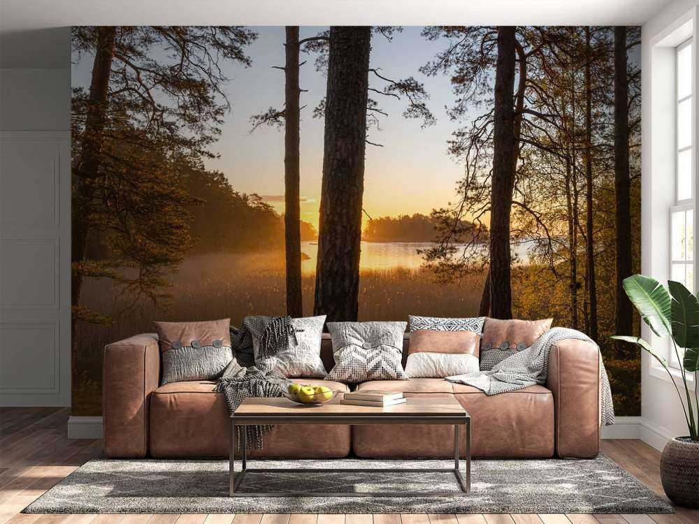 Bosque al atardecer