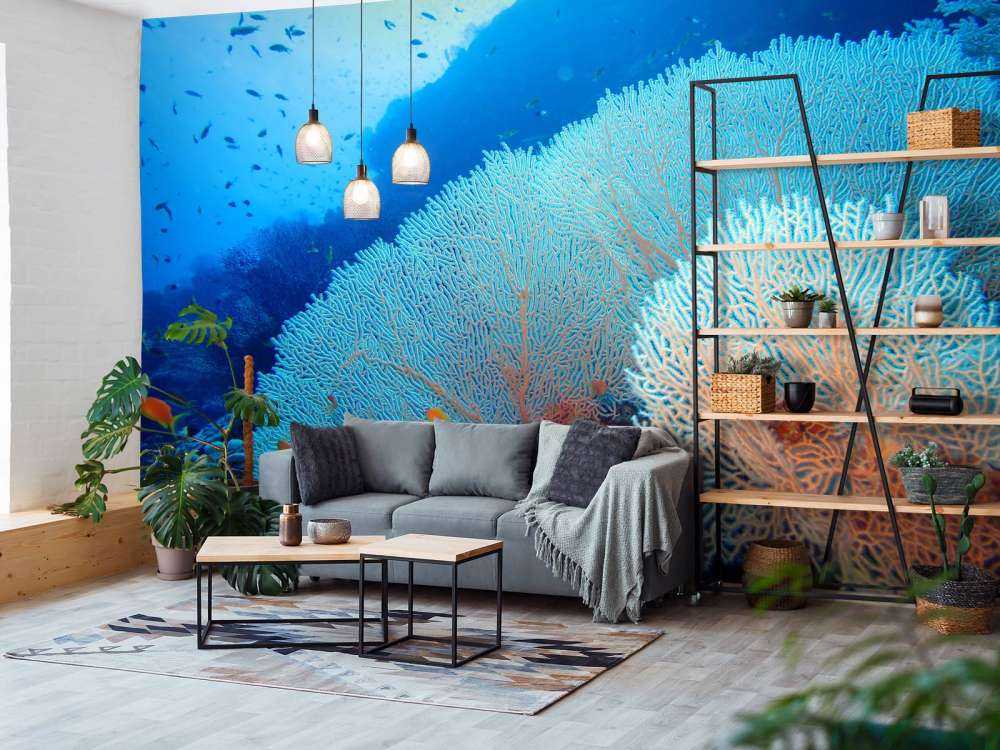 Coral con peces