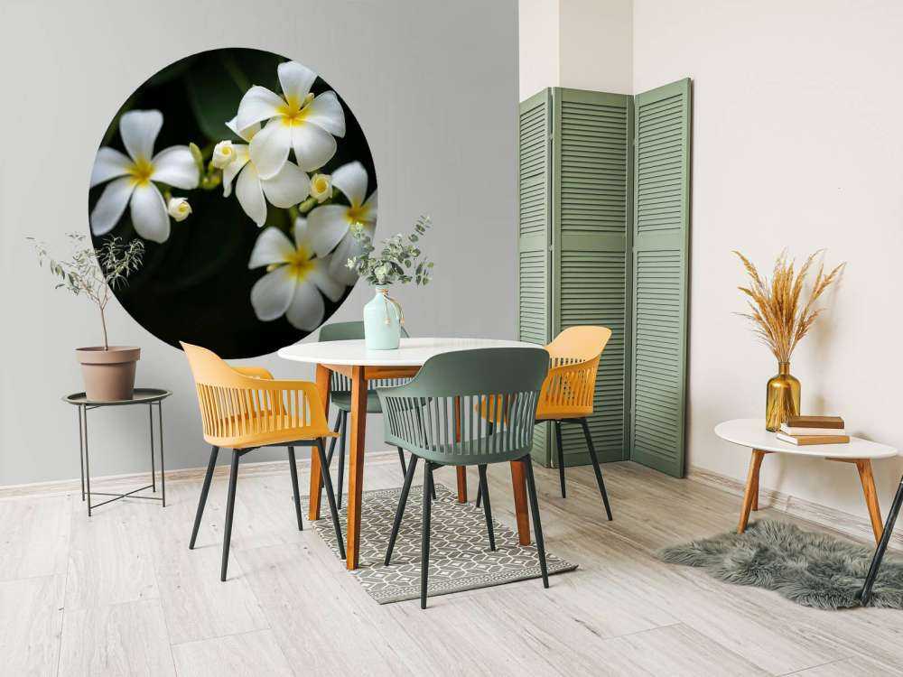 Primer plano de la Plumeria