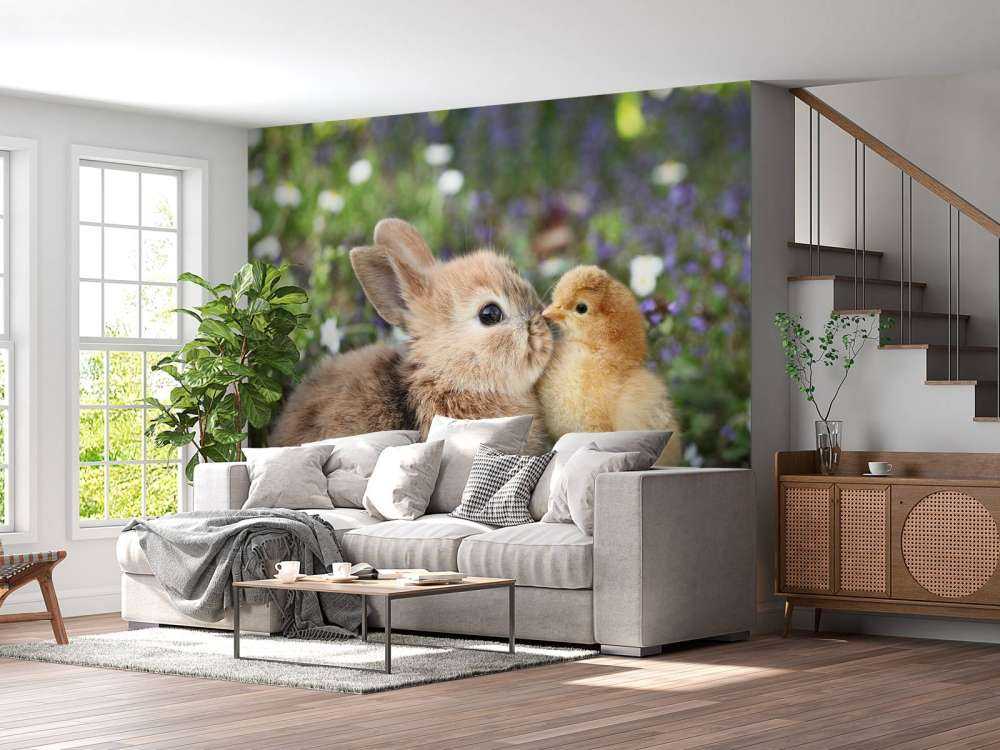 Conejo y pollito