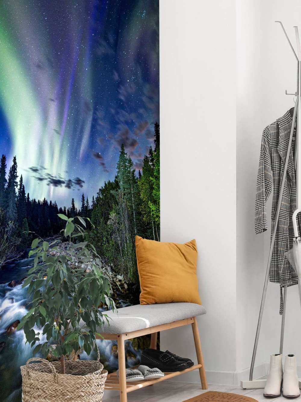 Stream durante la aurora boreal