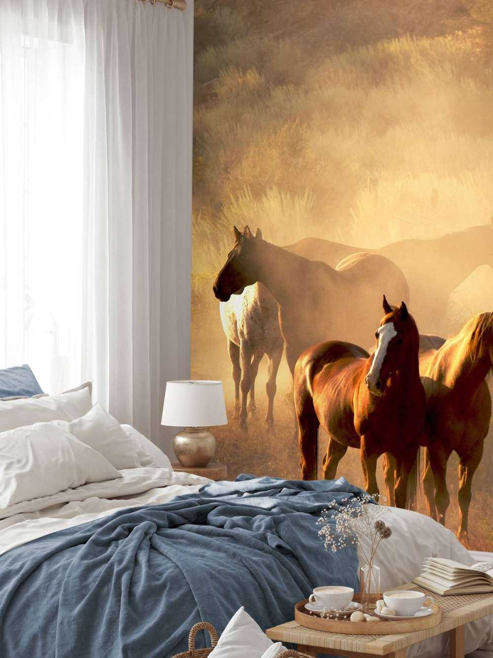 Caballos durante una puesta de sol