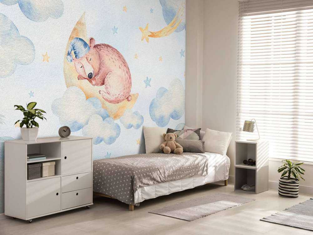 Oso dormido en las nubes