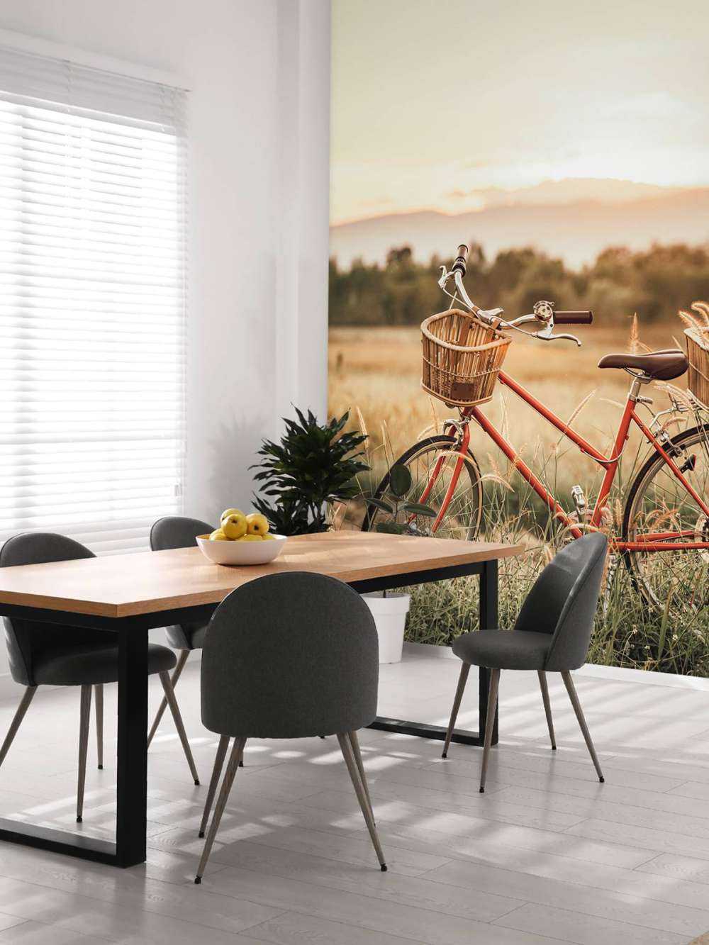 Bicicleta de época en verano
