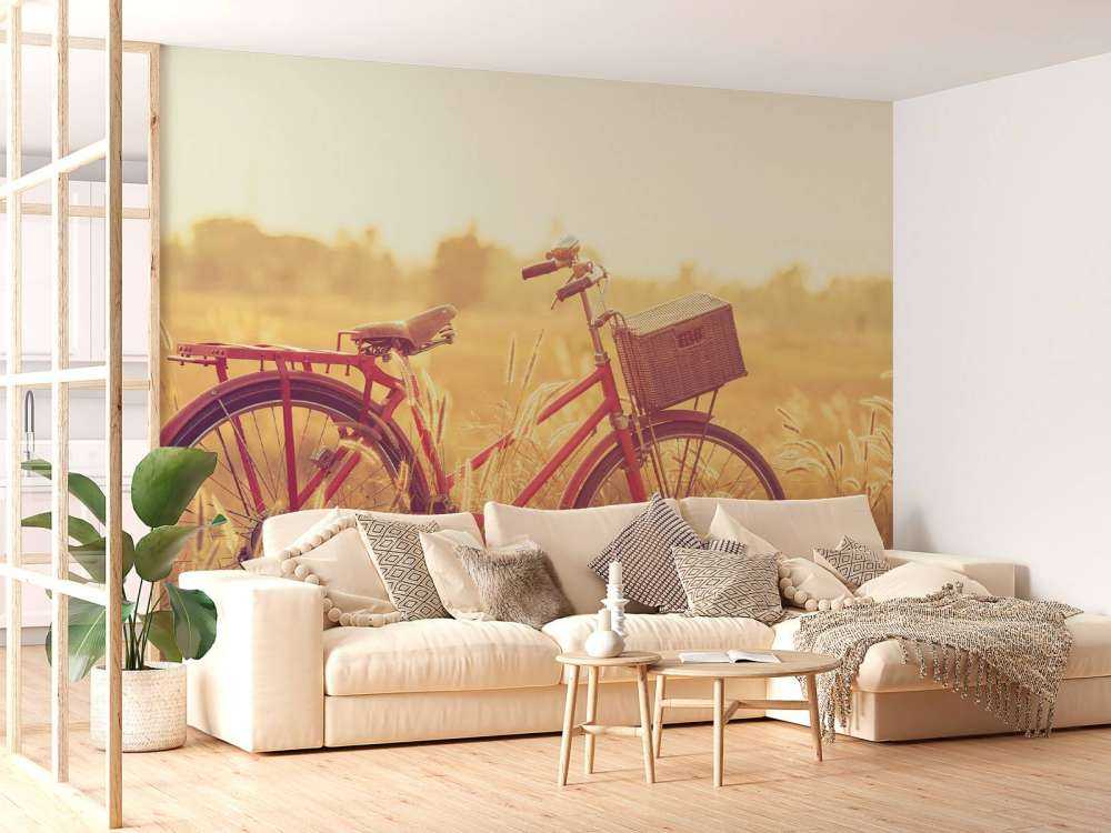 Bicicleta de época