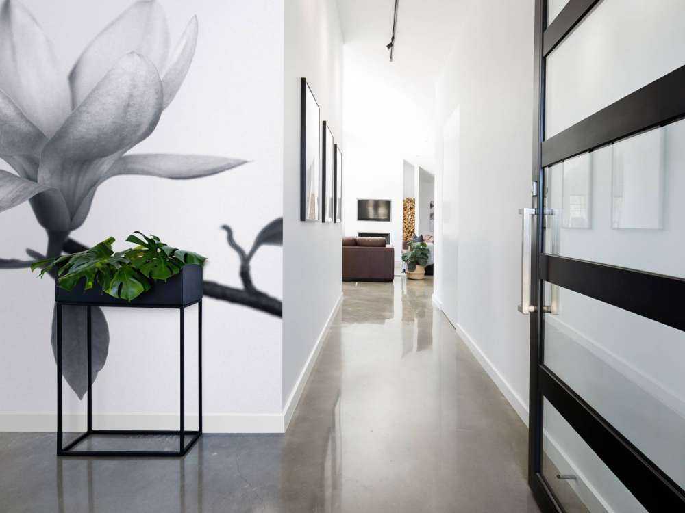 Hermosa magnolia