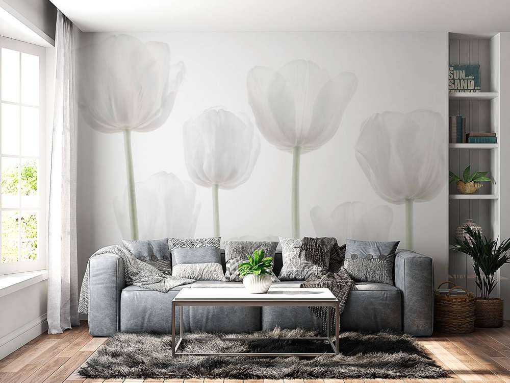 Tulipanes blancos