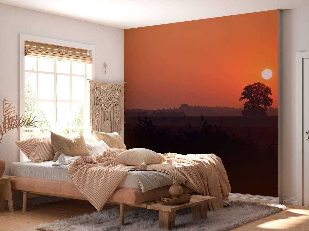 Amanecer