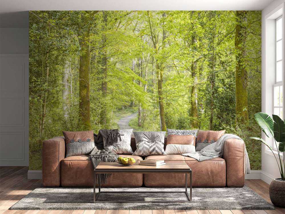 el bosque verde