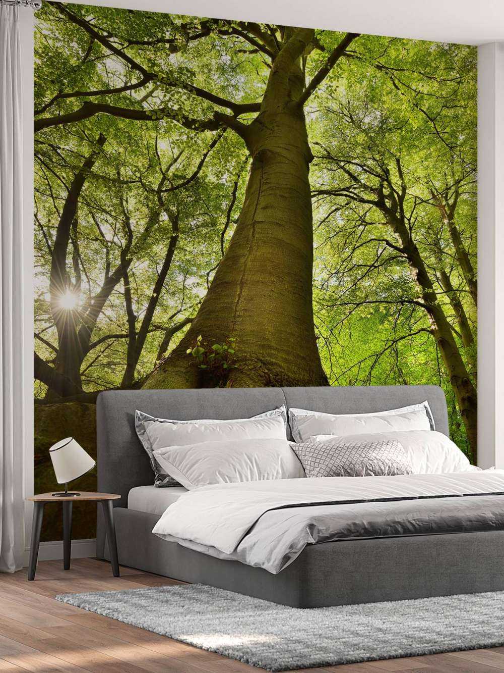 Árbol grande y raíces