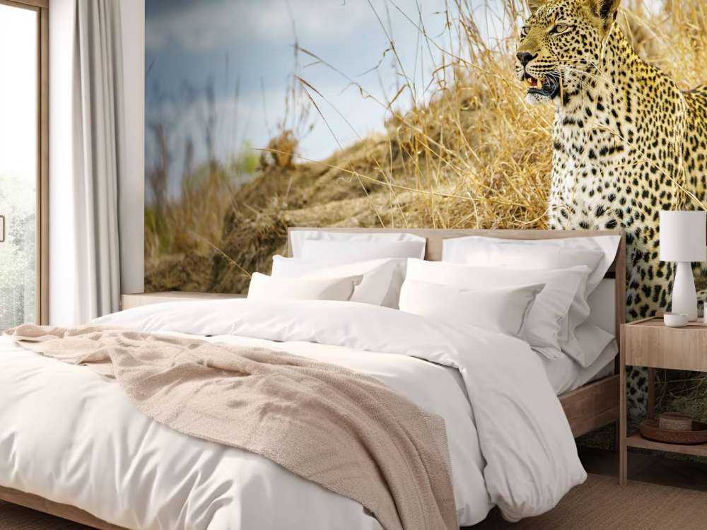 Leopardo al acecho