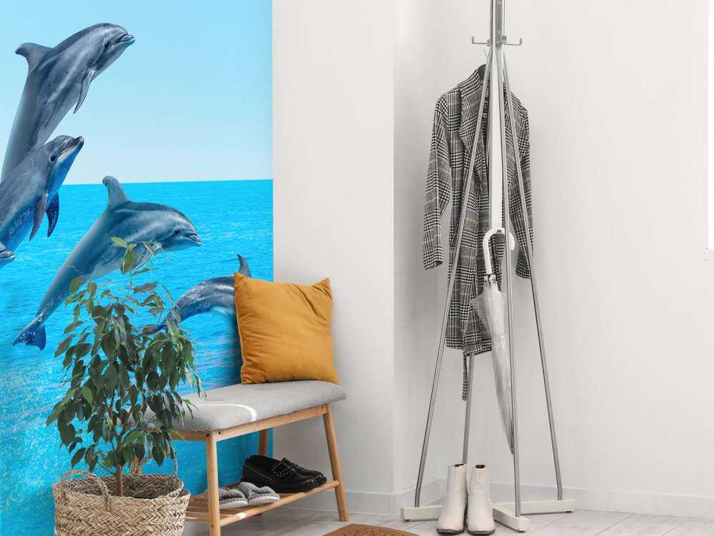 Delfines saltarines