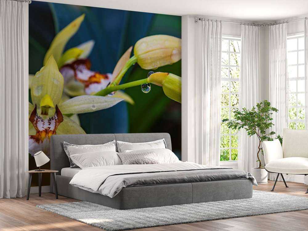 Orquídea amarilla salvaje