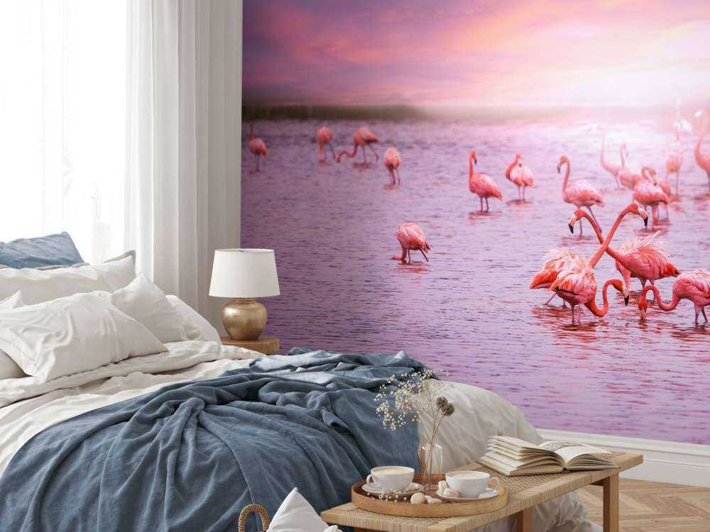Flamencos con la puesta de sol