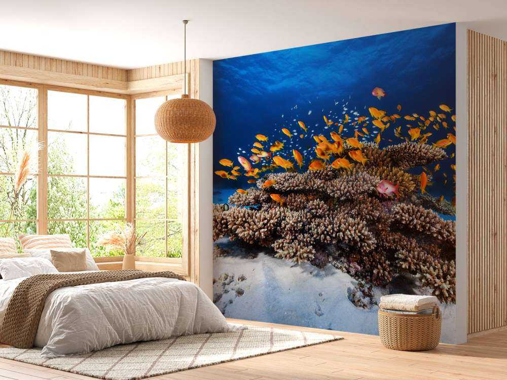 Marine Life