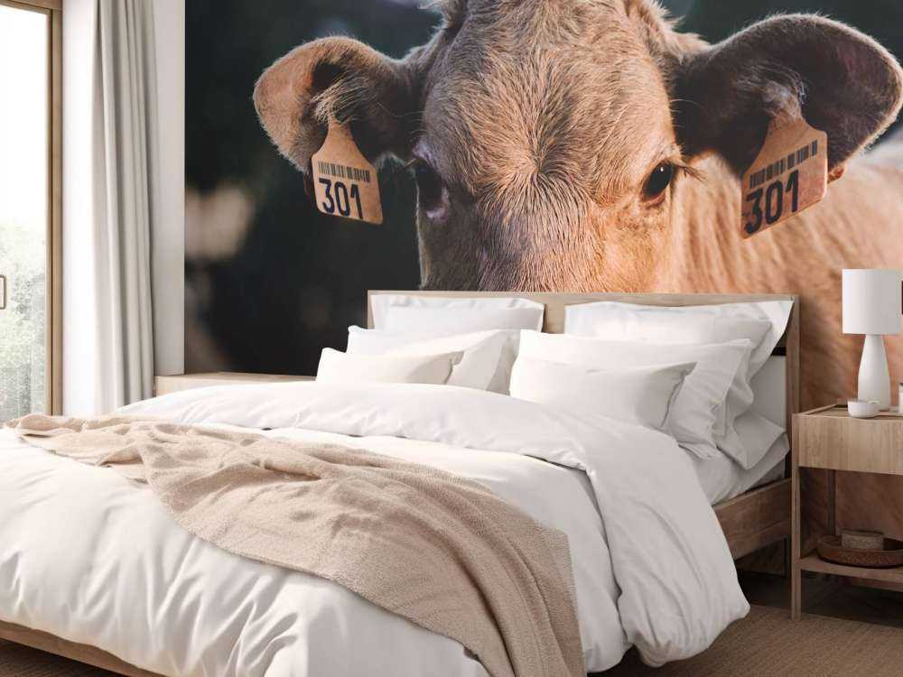 Primer plano de una vaca
