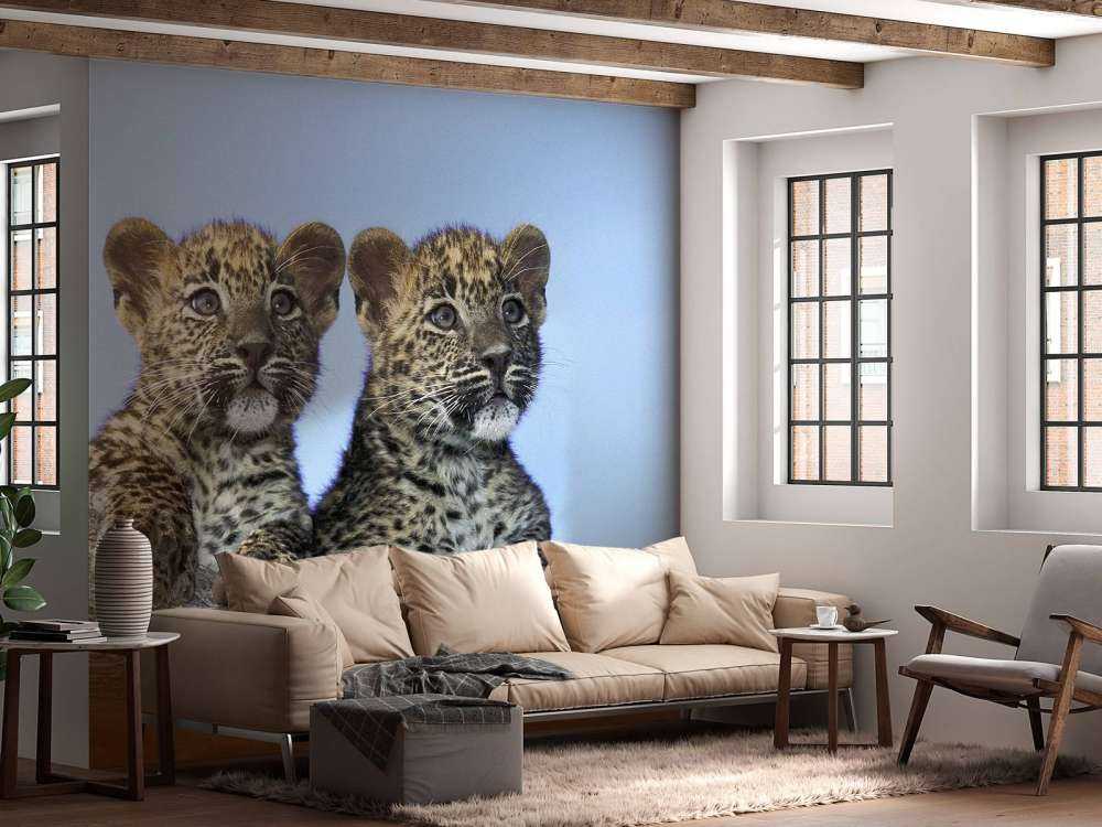 Pequeños leopardos