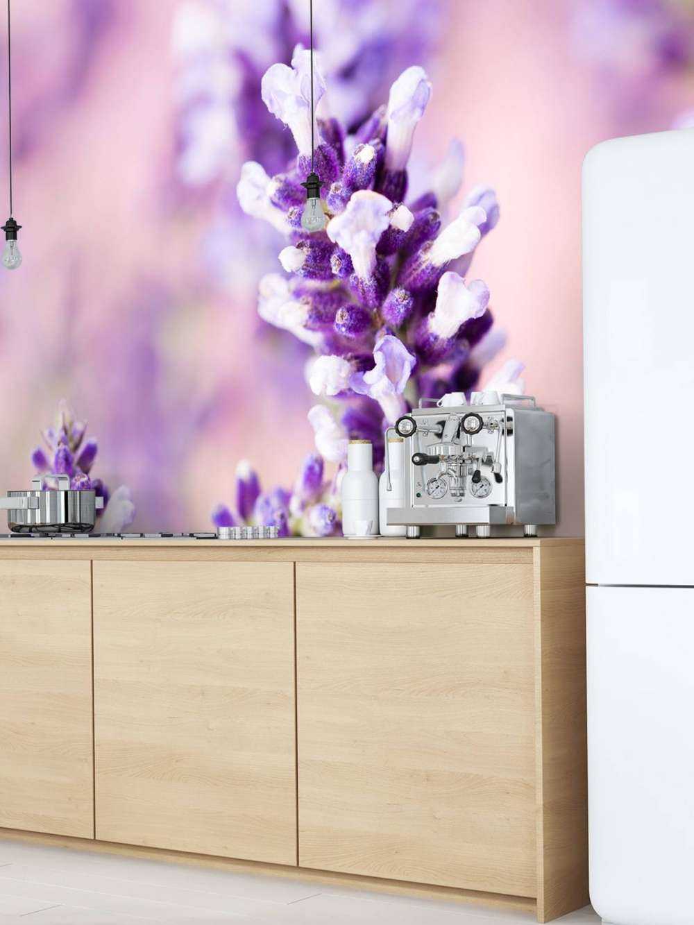 Flor de lavanda