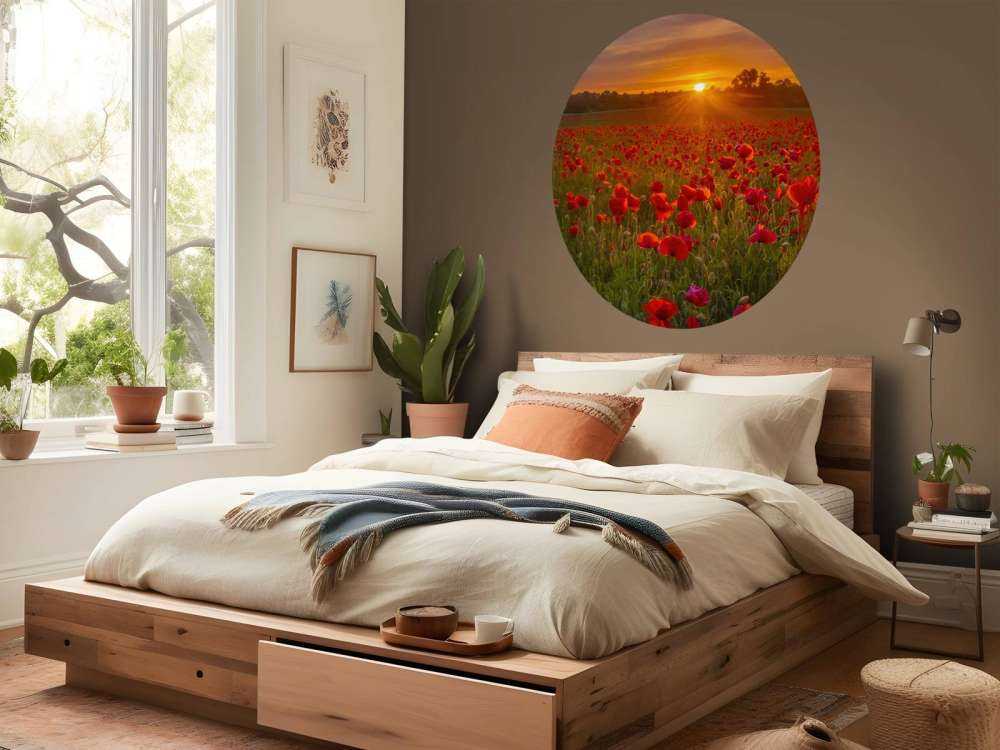 Campo de amapolas en flor