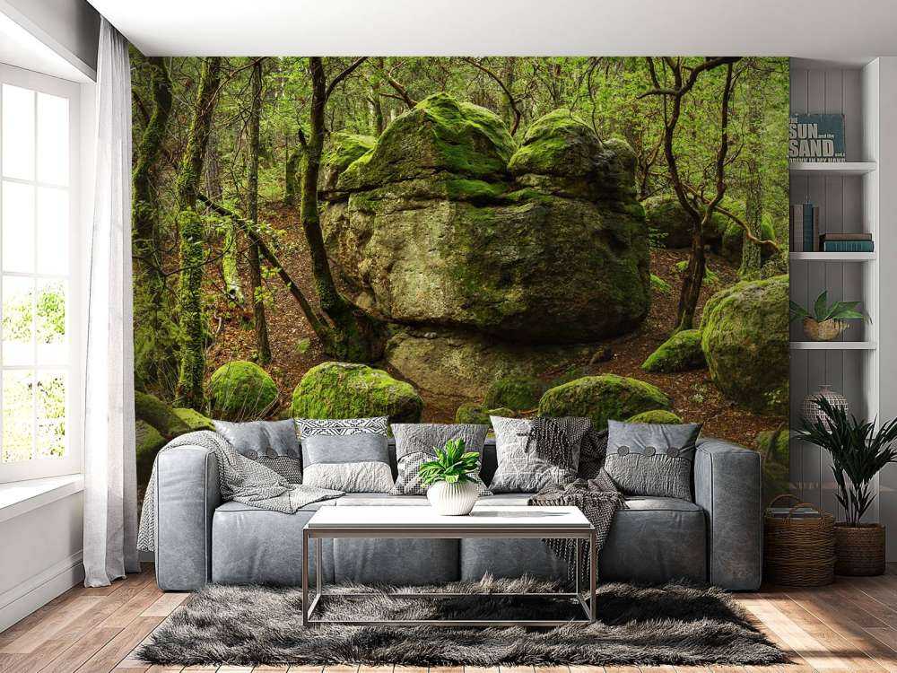 Bosque encantado