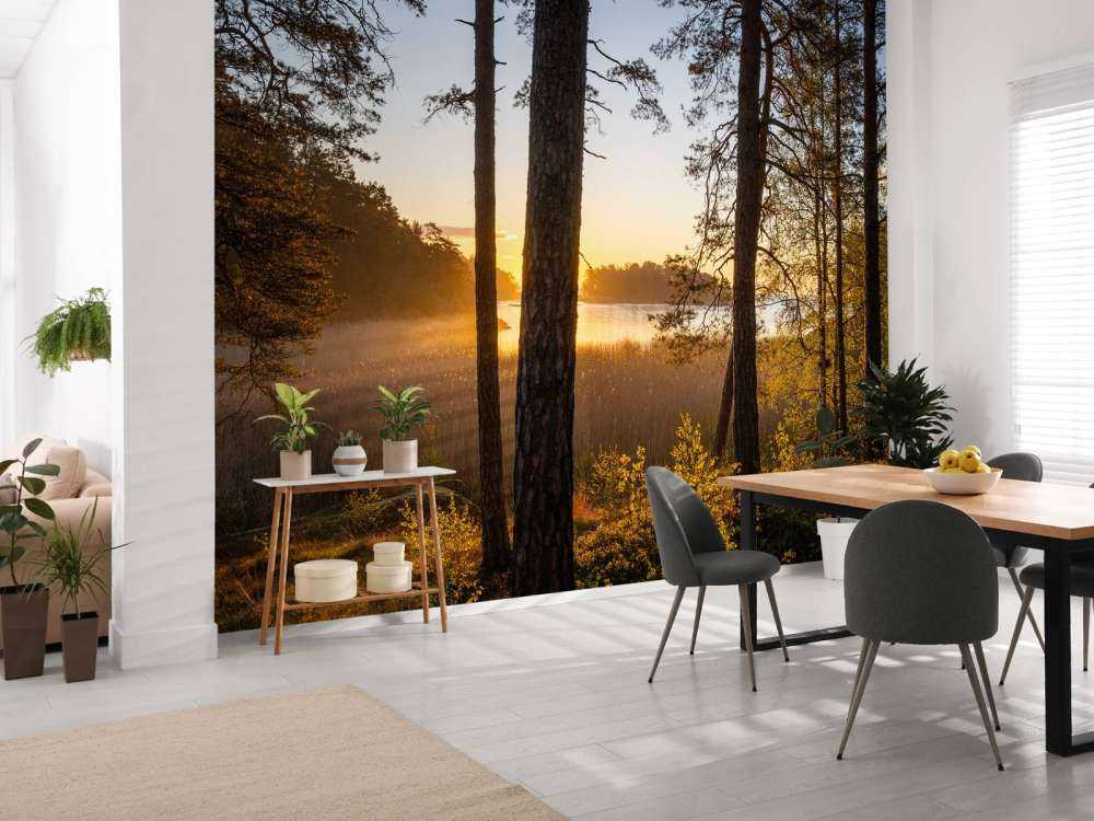 Bosque al atardecer