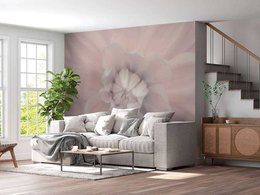 Flor de dalia rosa