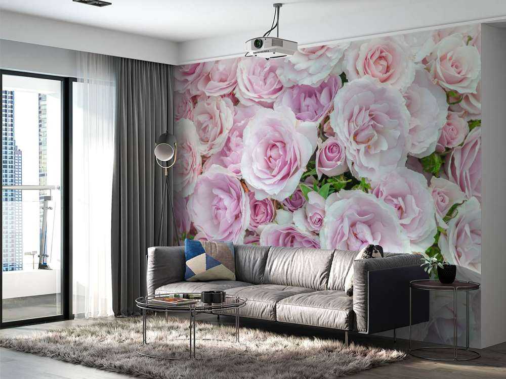 Coloridas rosas blancas y rosas