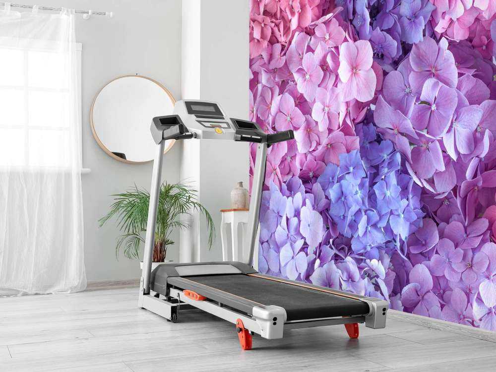 Hortensias de colores