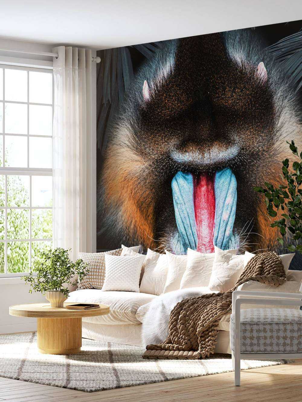 Mandrill Retrato