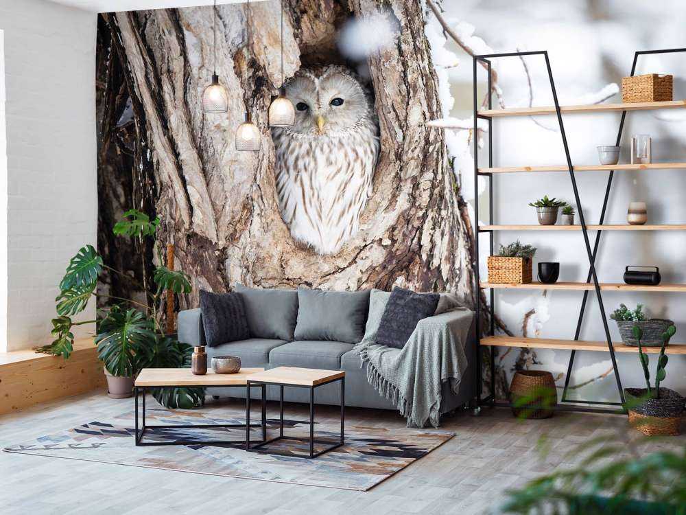 Búho blanco en un árbol hueco