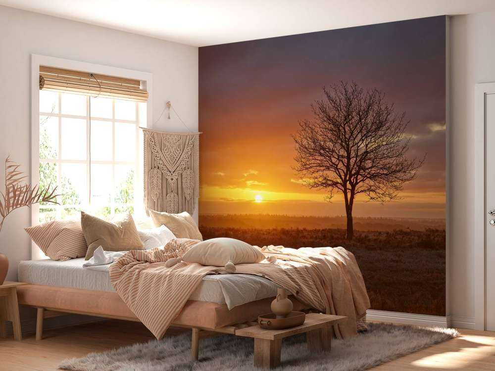Colorido amanecer en el páramo