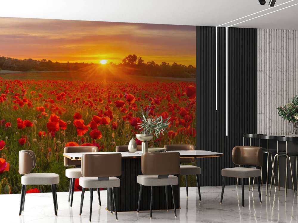 Campo de amapolas en flor