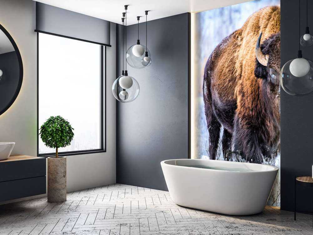Bisonte