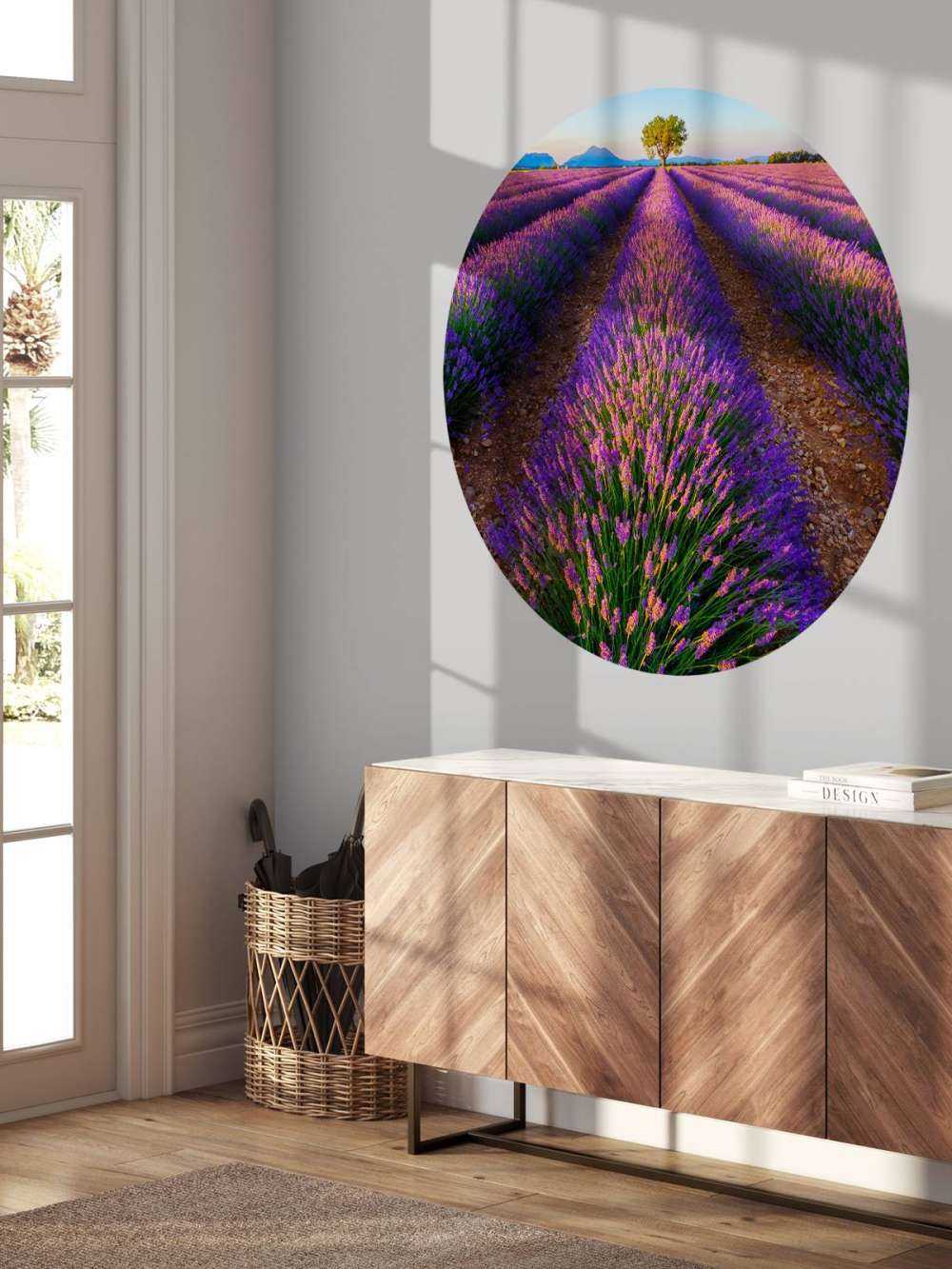 Lavanda a la luz del sol