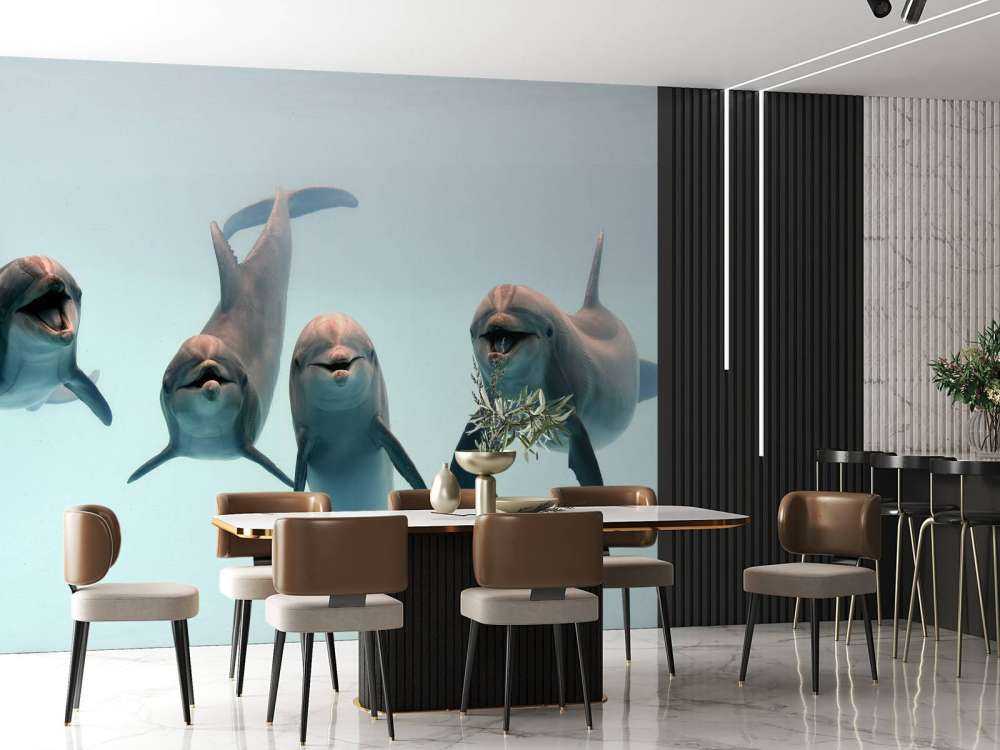 Delfines que ríen