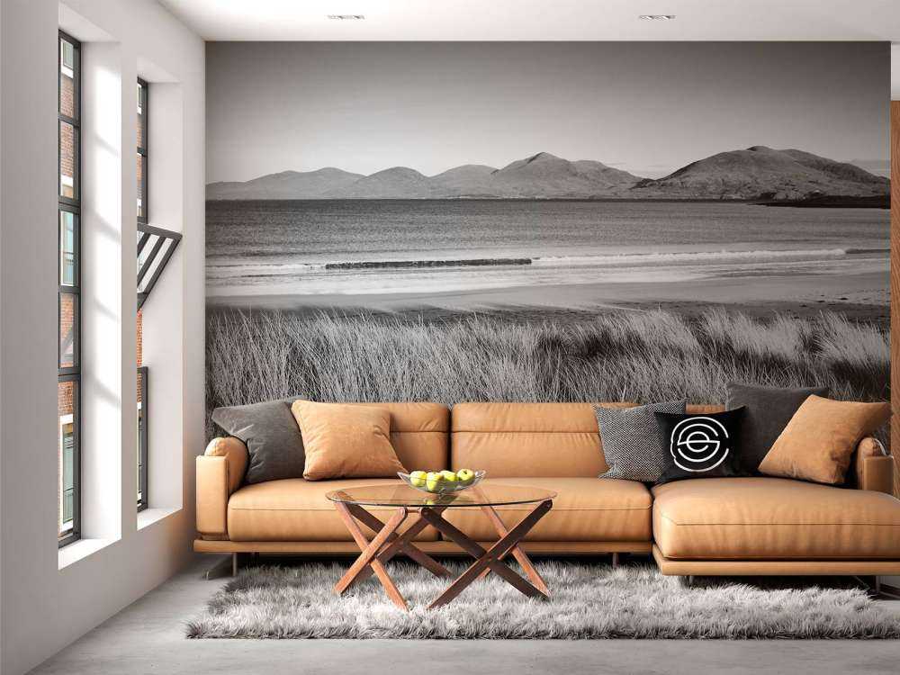 Marram grass, playa y montaña