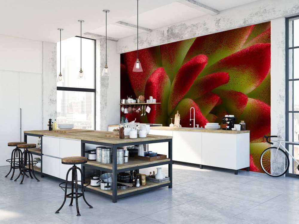 Cactus rojo