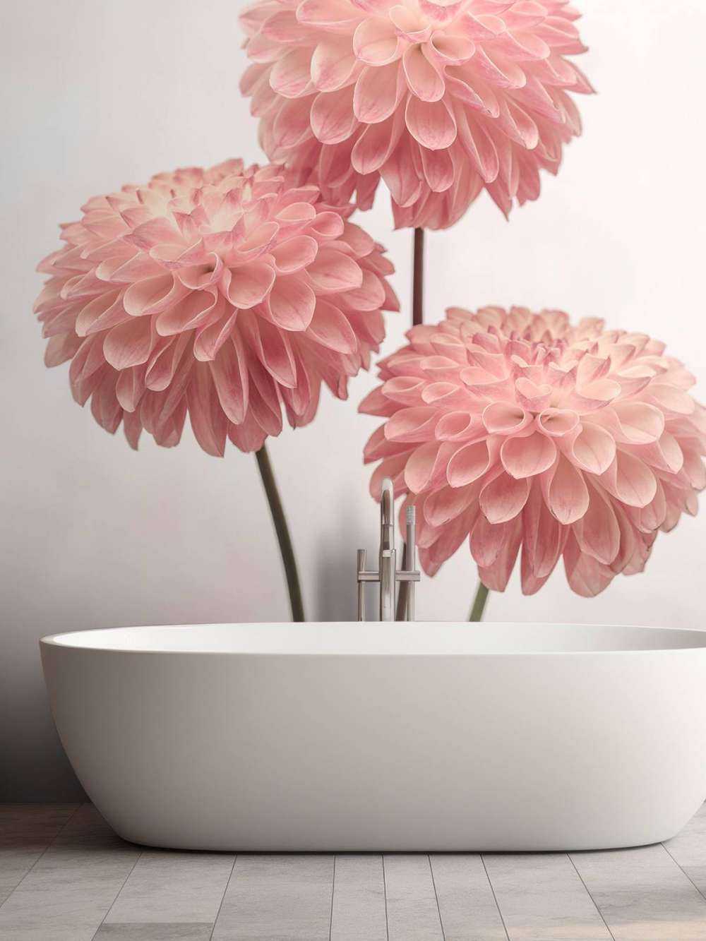 Dalias rosas
