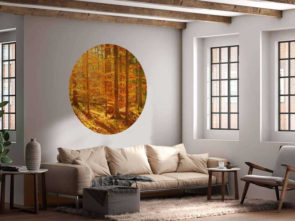 Bosque otoñal