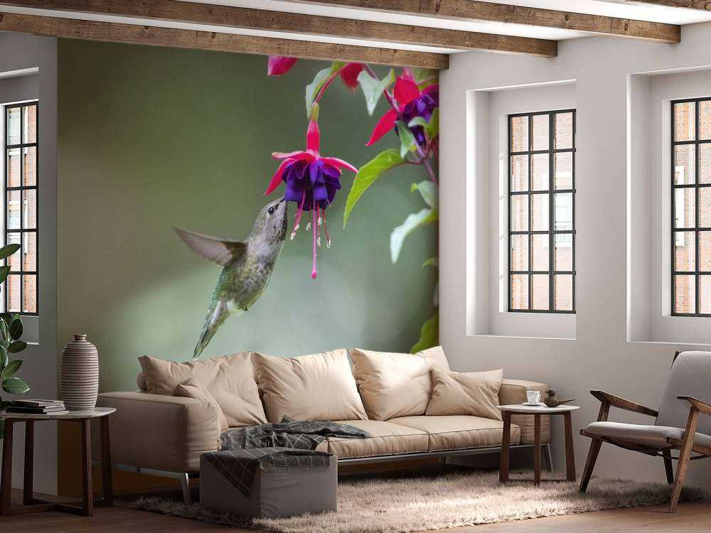 Bebida de colibrí