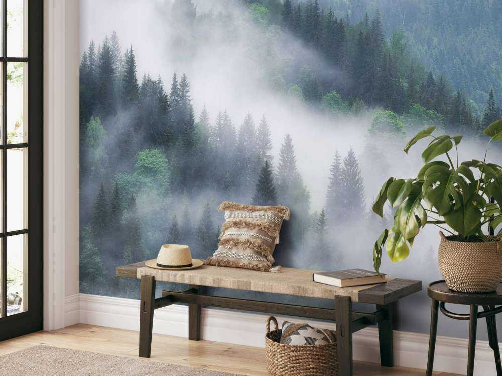 Bosque con niebla en las montañas