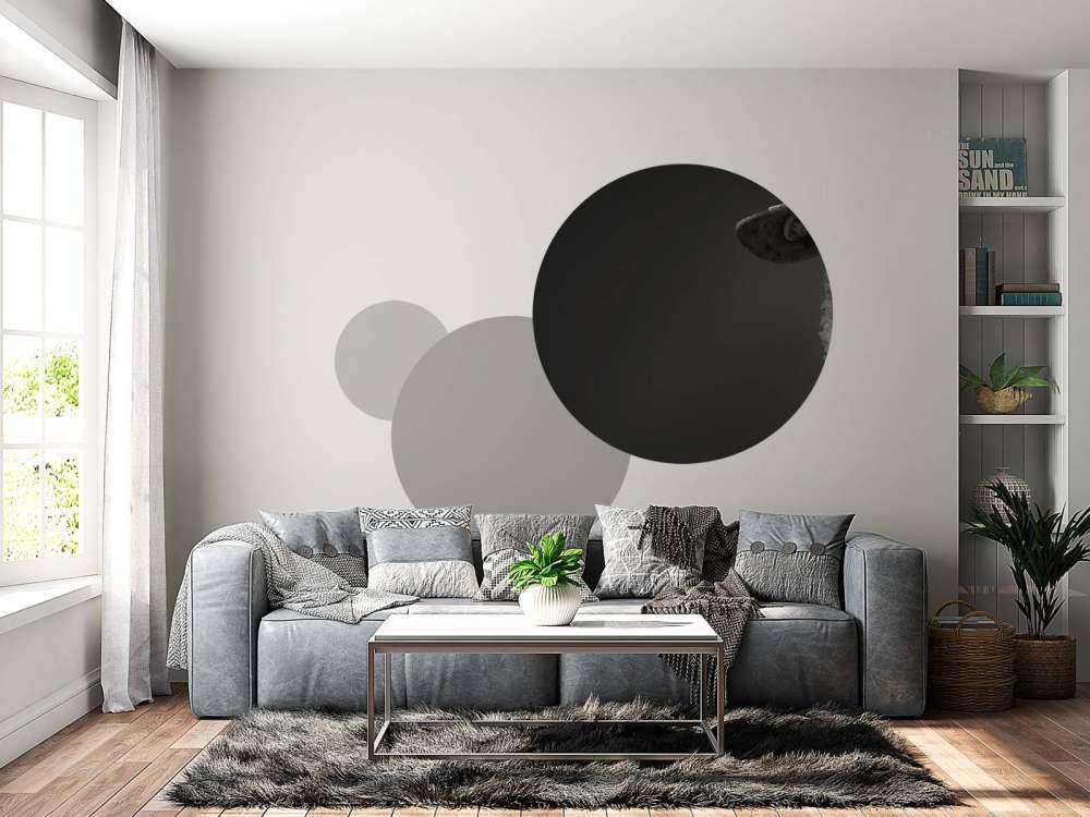 Primer plano de ovejas en blanco y negro
