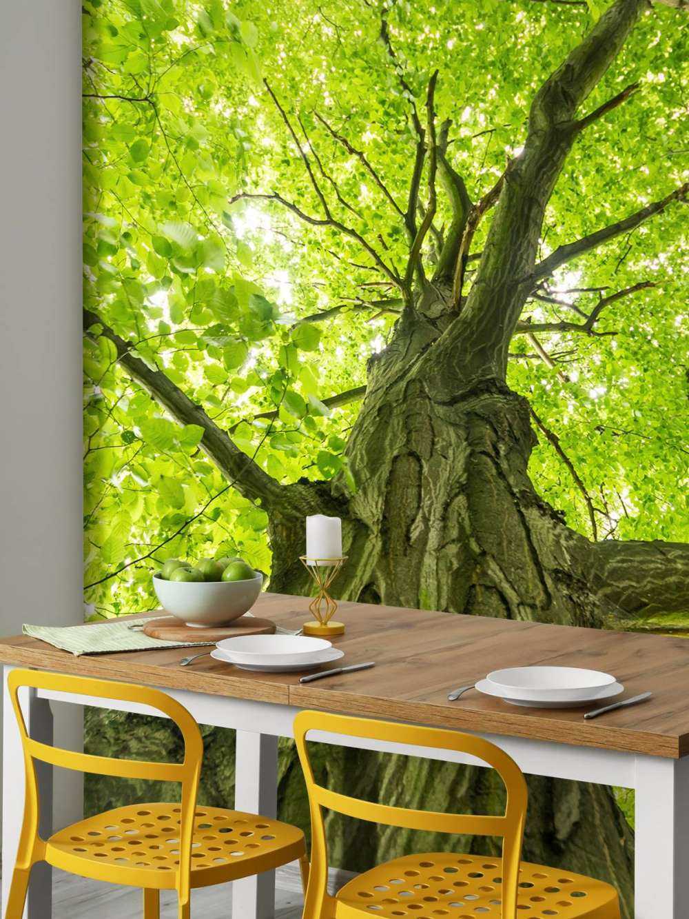 Gran árbol en el bosque