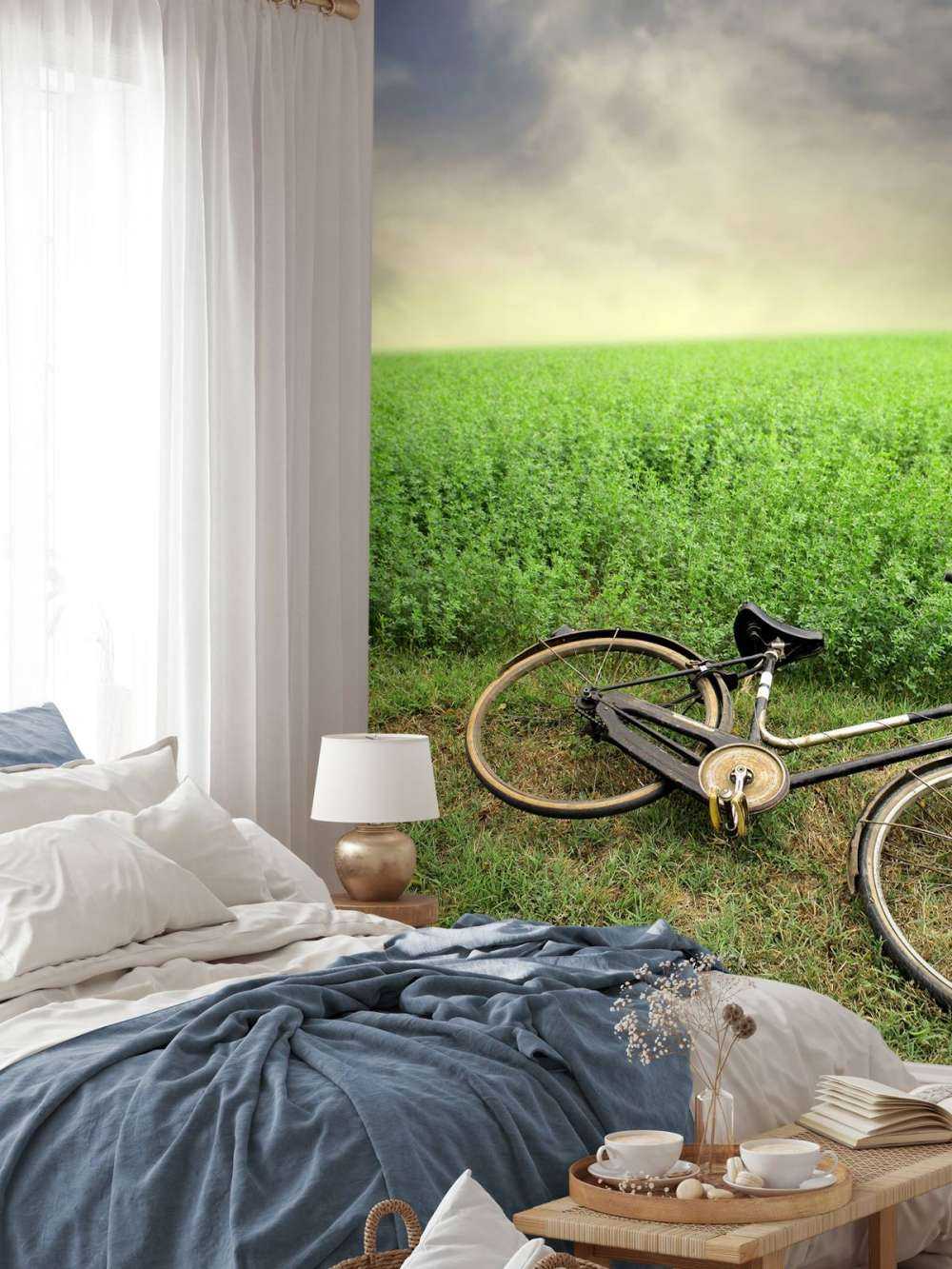 Bicicleta antigua