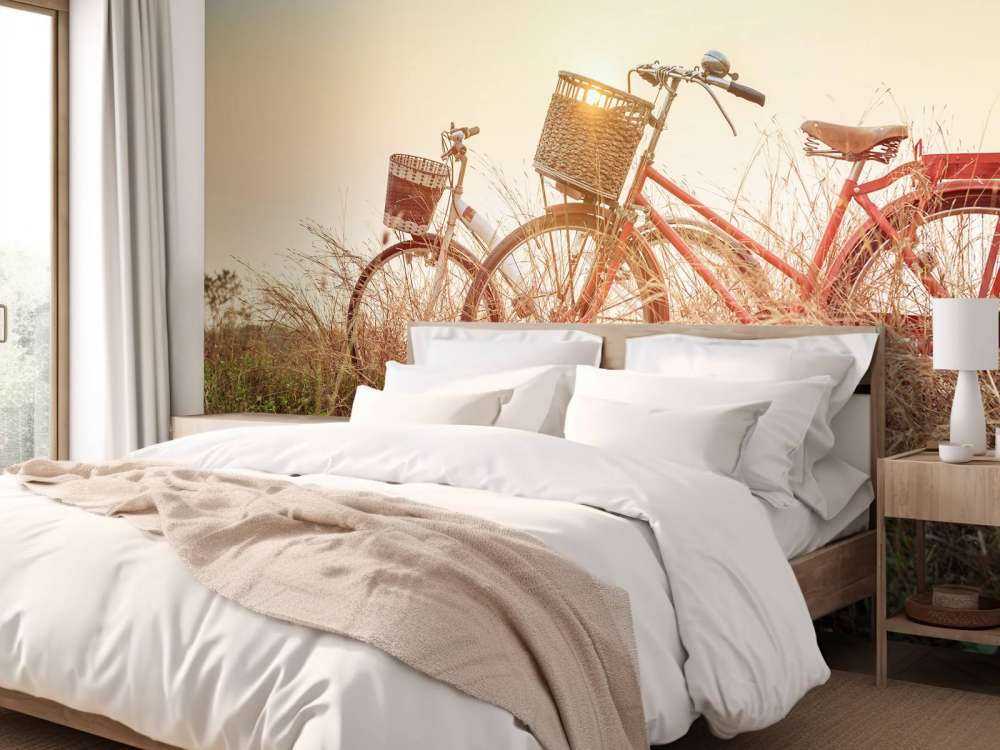 Bicicletas antiguas