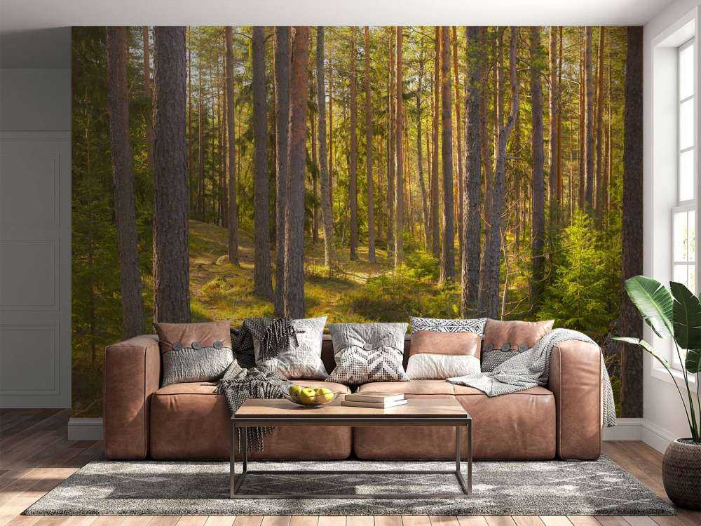Bosque de verano