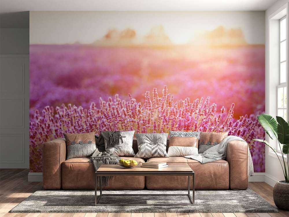 Primer plano de flores de lavanda