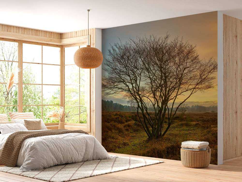 Amanecer en el páramo