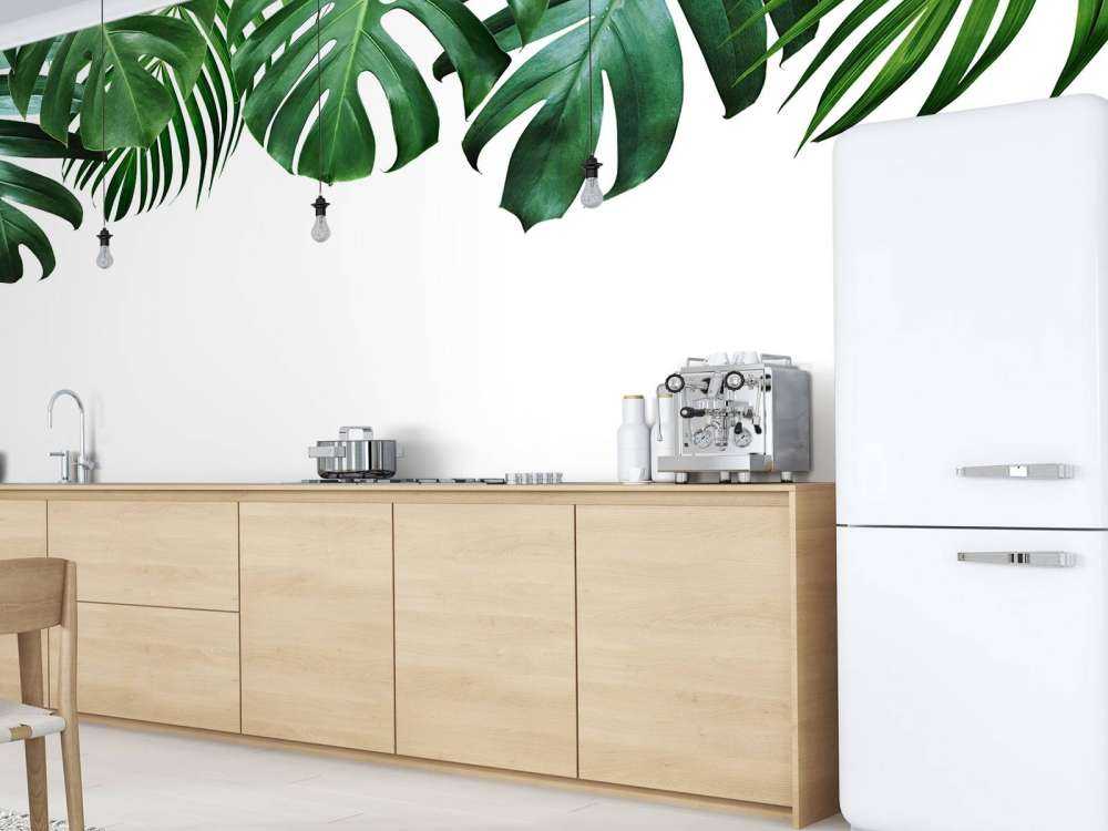 Plantas tropicales